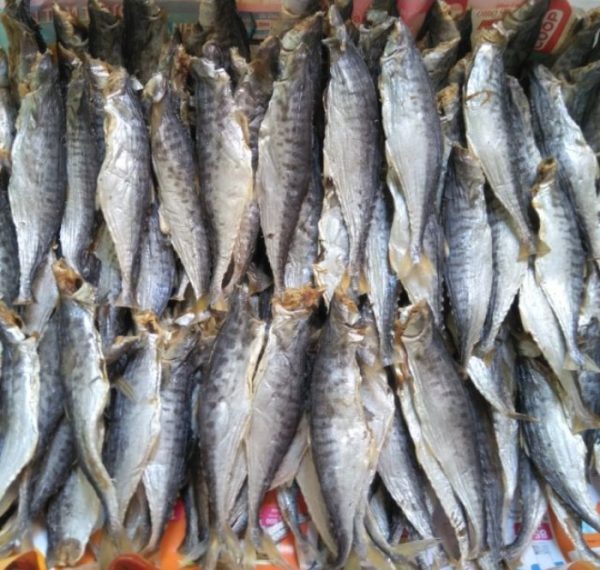 KHÔ CÁ THU LẠT ,KHÔNG ĐẦU THỊT THƠM NGON, BỔ DƯỠNG KHÔNG CHẤT BẢO QUẢN TẠI KHÔ CÁ CÀ MAU- ĐÓNG GÓI 1kg, 100GR, 500GR, 200gr