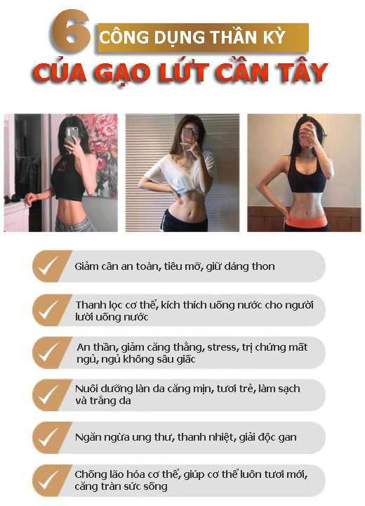 GẠO LỨT CẦN TÂY - Giữ dáng đẹp da thanh lọc cơ thể