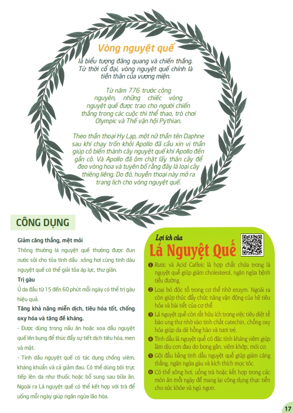 Lá nguyệt quế Ông Chà Và 8gram (Bay Leaf)