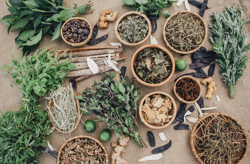 Bột rau má nguyên chất Mẹ Ken 100 gr