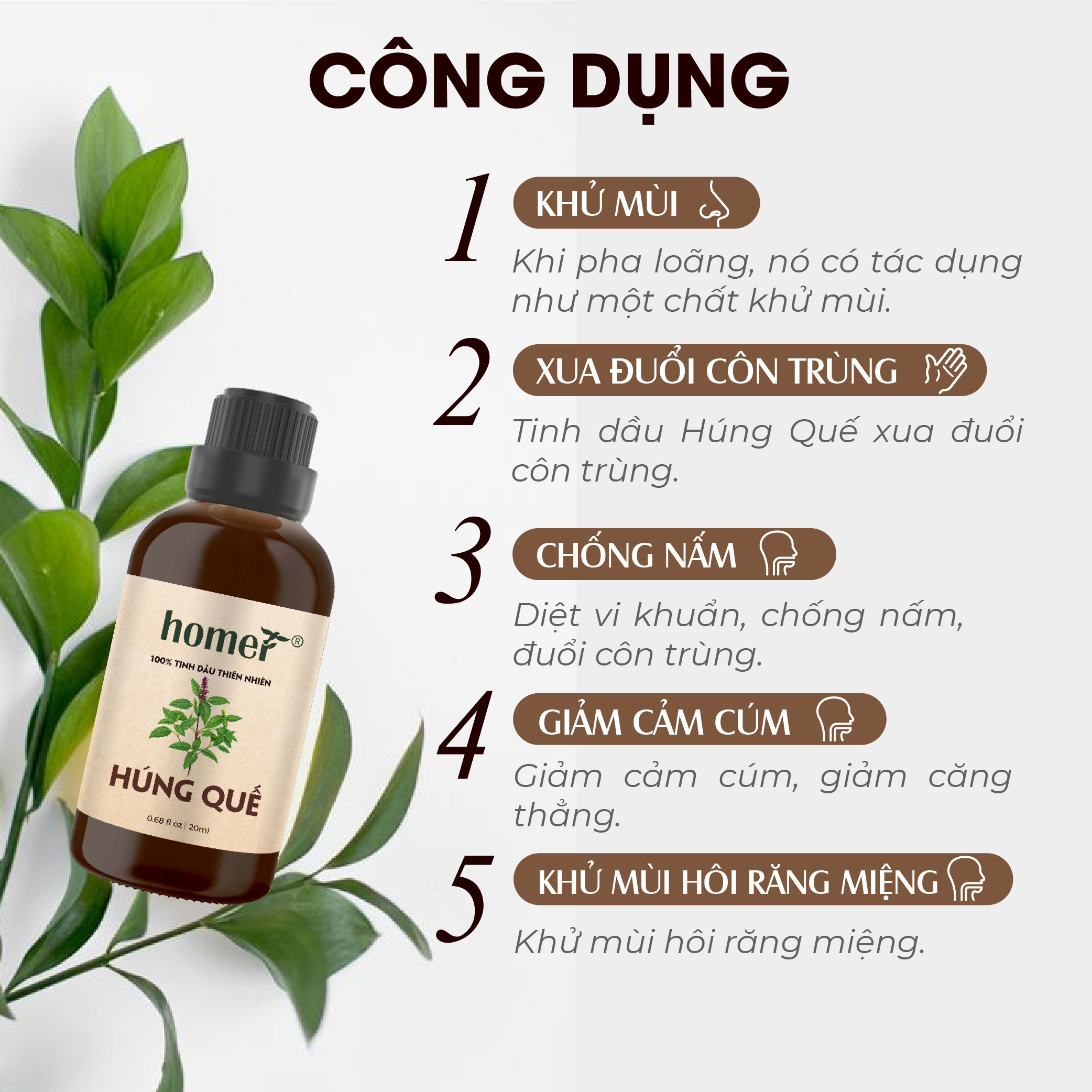 Tinh dầu thiên nhiên Húng Quế Pháp Homer - Dung tích 20ml / 100ml/ 500ml/ 1000ml - Đạt chuẩn kiểm định cao cấp - An toàn cho sức khỏe - Đa công dụng