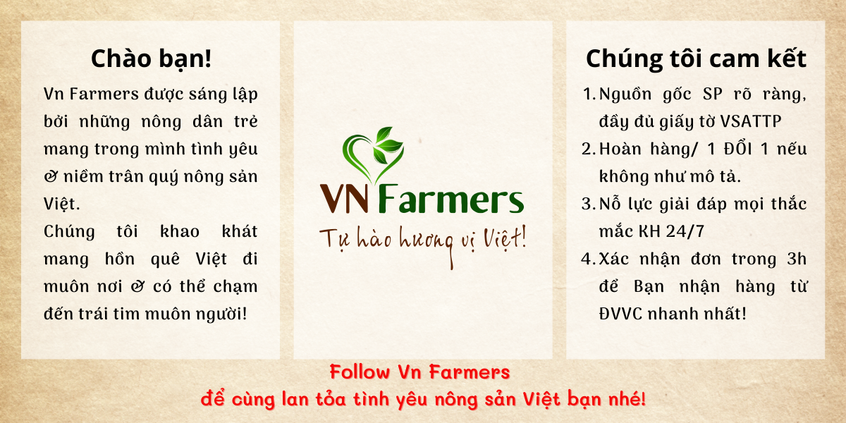 Hộp 250g Hạt điều vỏ lụa rang muối nguyên vị, ăn liền. Từ điều nguyên hạt loại A++, thơm ngon, béo ngậy, ngon mê | VN Farmers