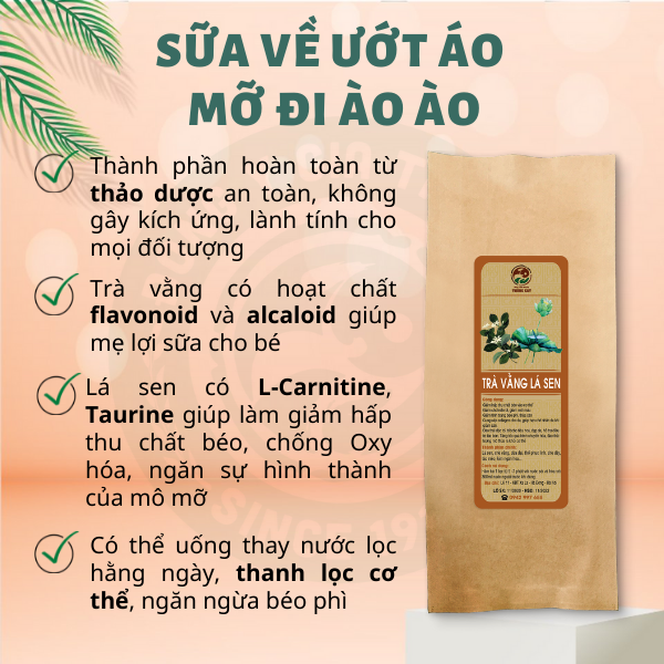 Trà vằng lá sen Đông y gia truyền Thông Cát , Trà Vằng lá sen - giảm cân nhanh cấp tốc, tan mỡ bụng, giảm mỡ đùi, lợi sữa chỉ sau 7 ngày - Trà thảo mộc Thông Cát