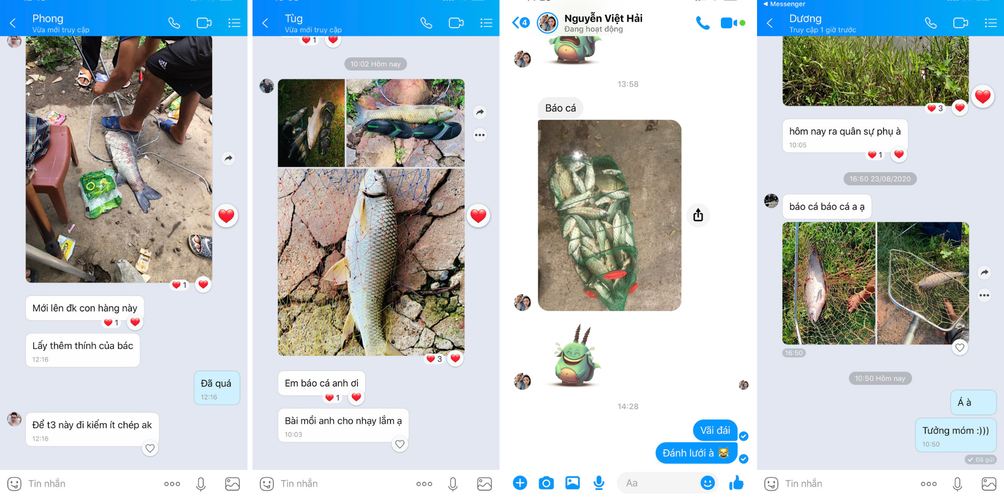 Thính câu cá LK HÒA siêu nhạy chuyên câu cá to - Mồi thính Lk Hòa dạng bột