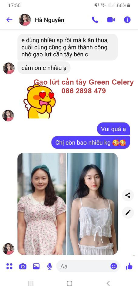 GẠO LỨT CẦN TÂY - Giữ dáng đẹp da thanh lọc cơ thể