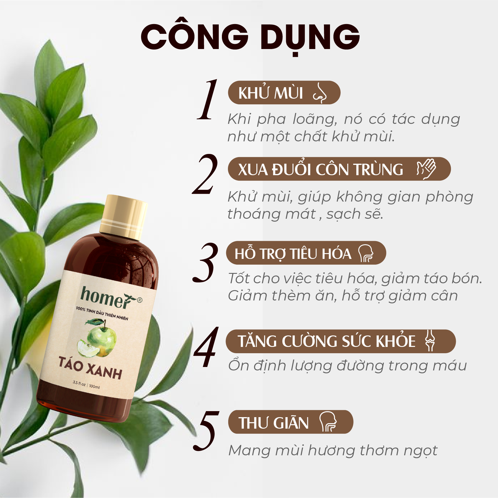 Tinh dầu thiên nhiên Táo Xanh Homer giá dùng thử - Dung tích 20ml / 100ml/ 500ml/ 1000ml - Đạt chuẩn kiểm định cao cấp - An toàn cho sức khỏe - Đa công dụng