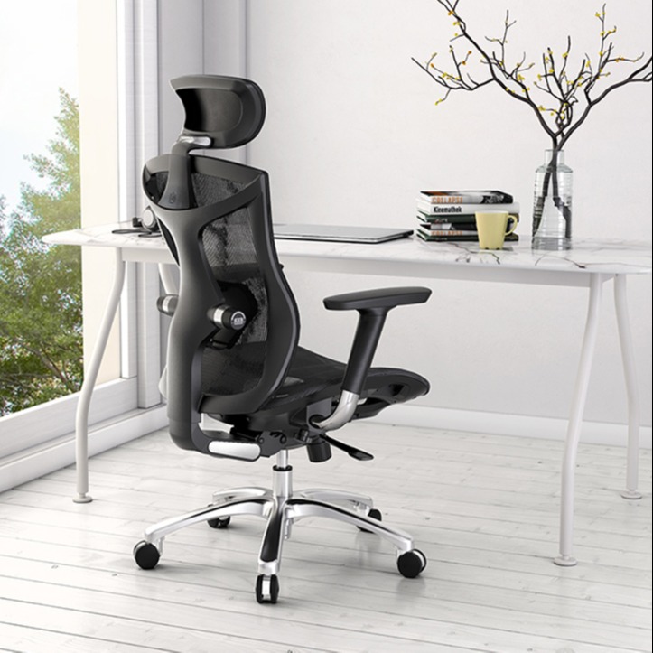 SIHOO M18 - Ghế lưới văn phòng thiết kế công thái học Ergonomic, đỡ thắt  lưng nâng hạ, điều chỉnh cột sống