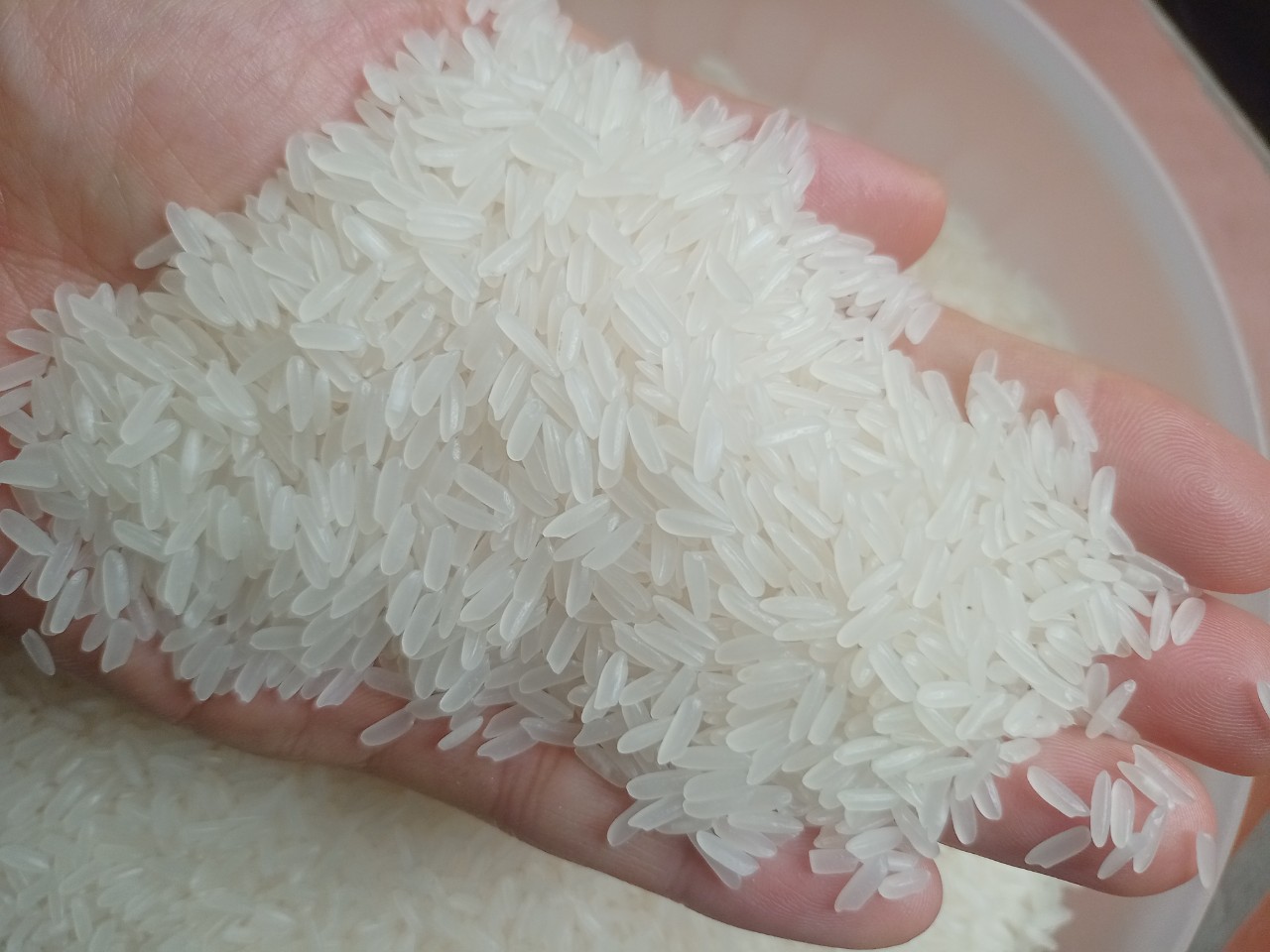 Gạo Tám Thái con chim Én hồng thơm, dẻo ,ngon giá rẻ tại minimartsongchi