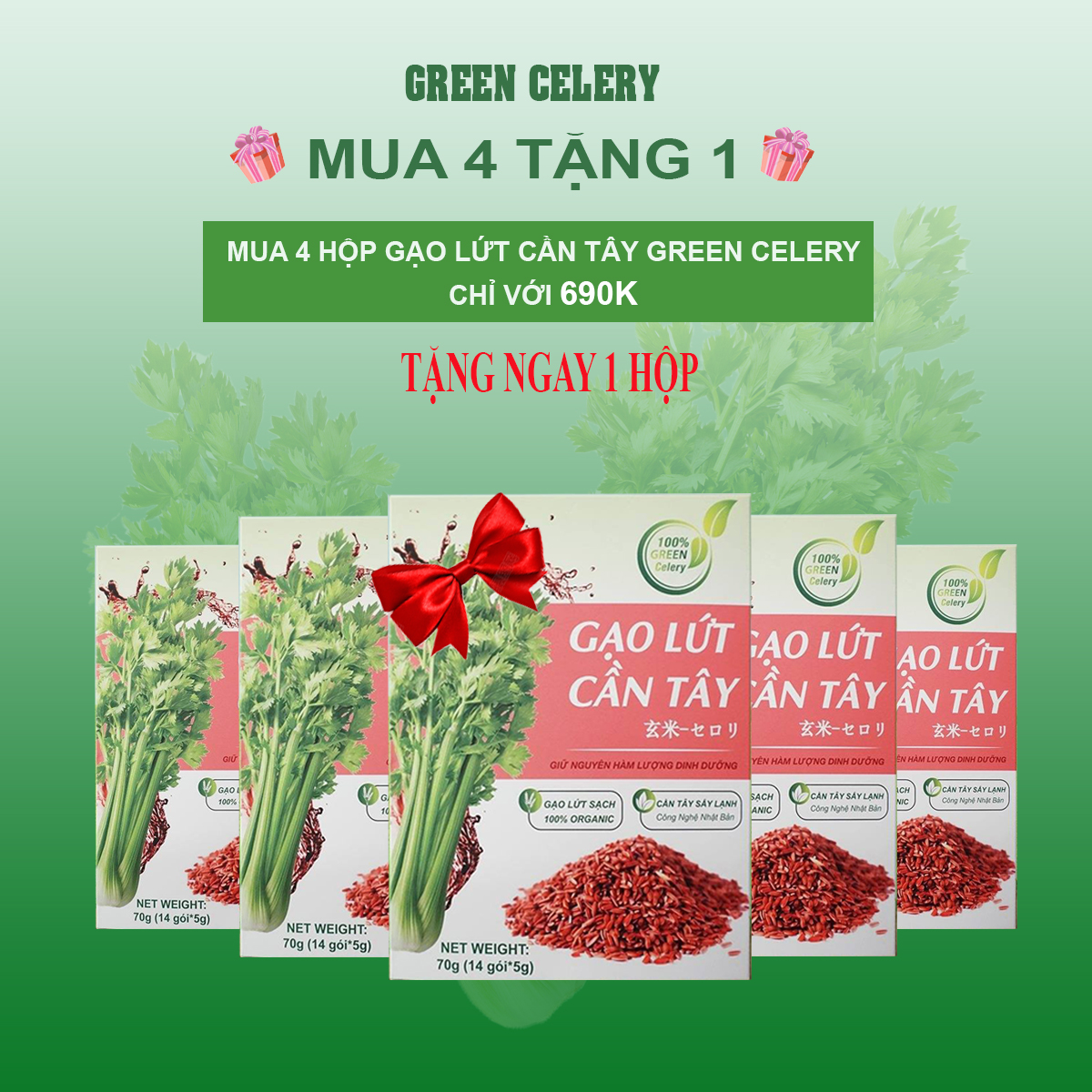 GẠO LỨT CẦN TÂY - Giữ dáng đẹp da thanh lọc cơ thể