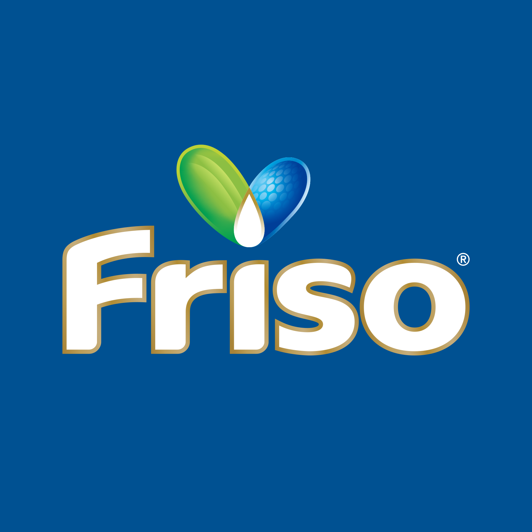 Friso Store