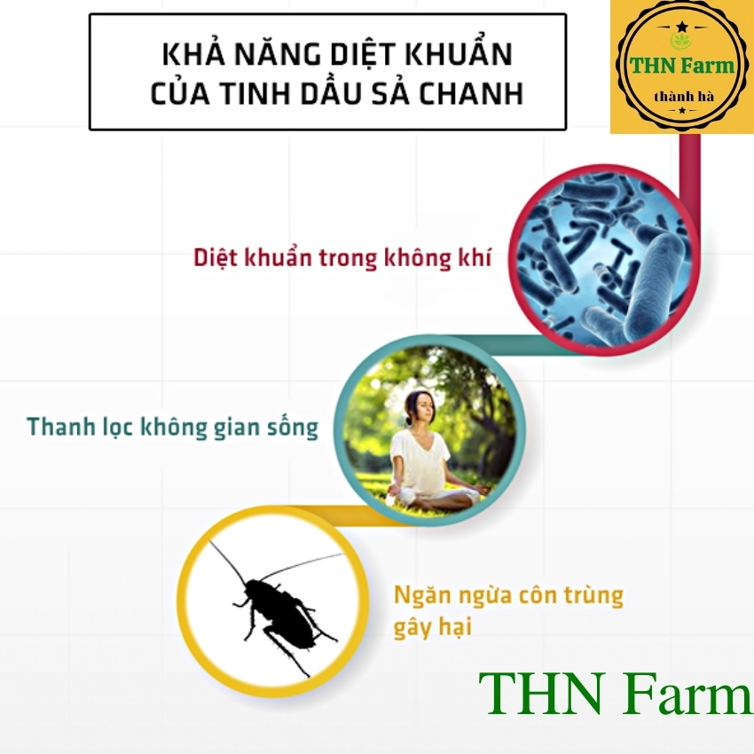 TINH DẦU XẢ  NGUYÊN CHẤT Đuổi Muỗi Côn Trùng.Tinh Dau Sả Chanh Lau Nhà Khử Mùi Kháng Khuẩn/dầu sả ép nguyên chất 100%.CHỐNG MUỖI -DIỆT MUỖI-LÀM ĐẸP  -LAU NHÀ.THN Farm +Tặng Kèm Quà