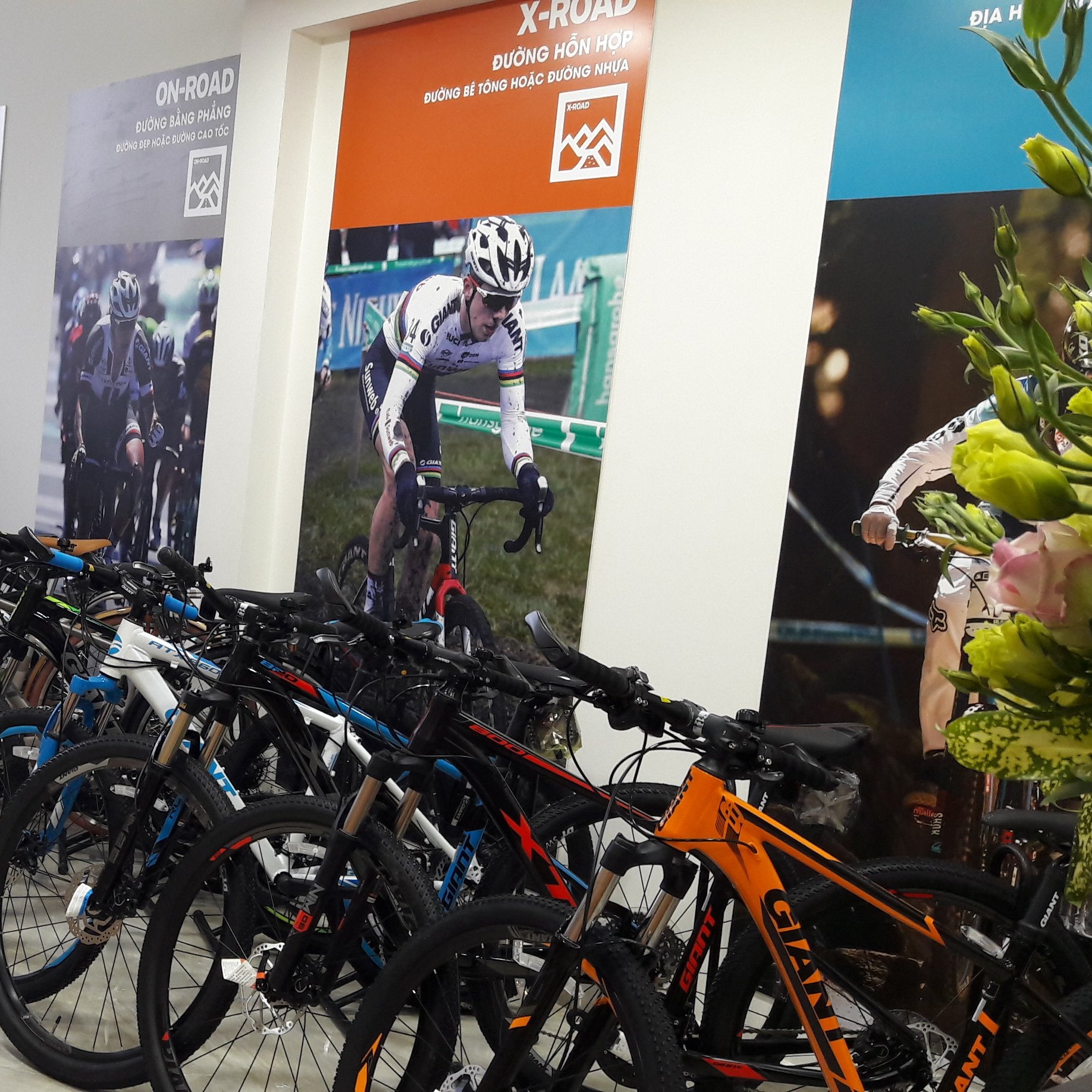 SHOPXEDAP24H ( Hà Nội )