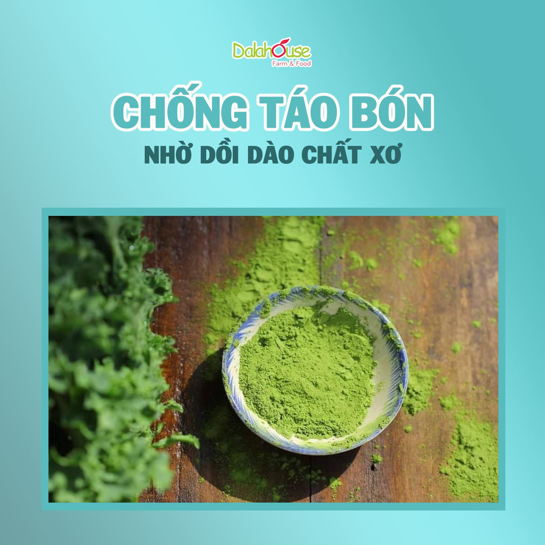 COMBO 2 Bột Rau Củ Cho Bé Ăn Dặm Organic Nguyên Chất 100% Dalahouse - Rau Củ Sấy Lạnh Cho Bé Ăn Dặm-Hấp thụ tốt, Ăn ngon miệng, Cải thiện tiêu hóa, Tăng cường miễn dịch tự thân-Tiêu Chuẩn Hoà Kỳ NPP Anni Group