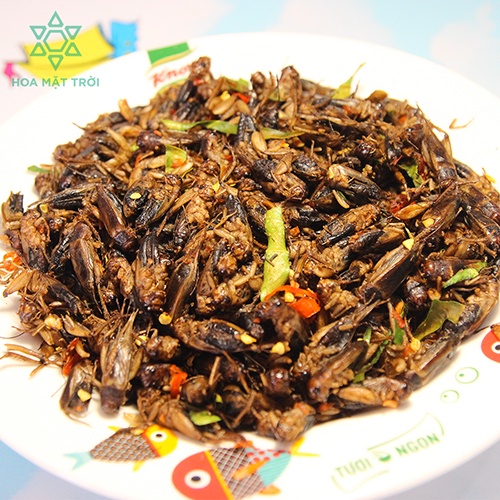 Dế Sữa Rang Muối Hoa Mặt Trời - Túi 60g Ăn vặt ngon và giàu dung dưỡng, Thực phẩm ngon cho bàn nhậu