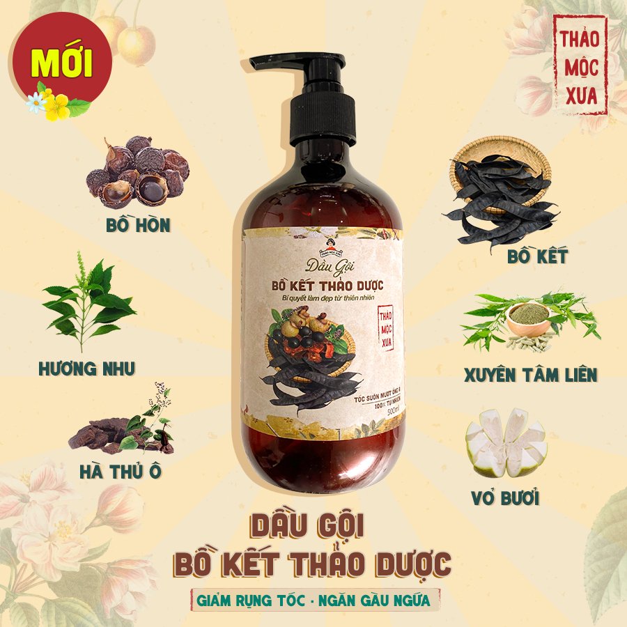 Dầu Gội Bồ Kết Thảo Dược Kích Thích Mọc Tóc Ngăn Rụng Tóc Giảm Ngứa Gàu Thảo Mộc Xưa Organic 500ml Hiệu Quả Sau 7 Ngày Miquala
