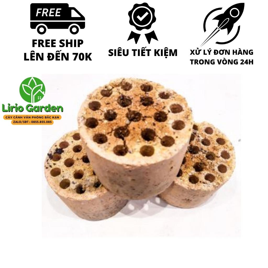 than tổ ong , xỉ than tổ ong