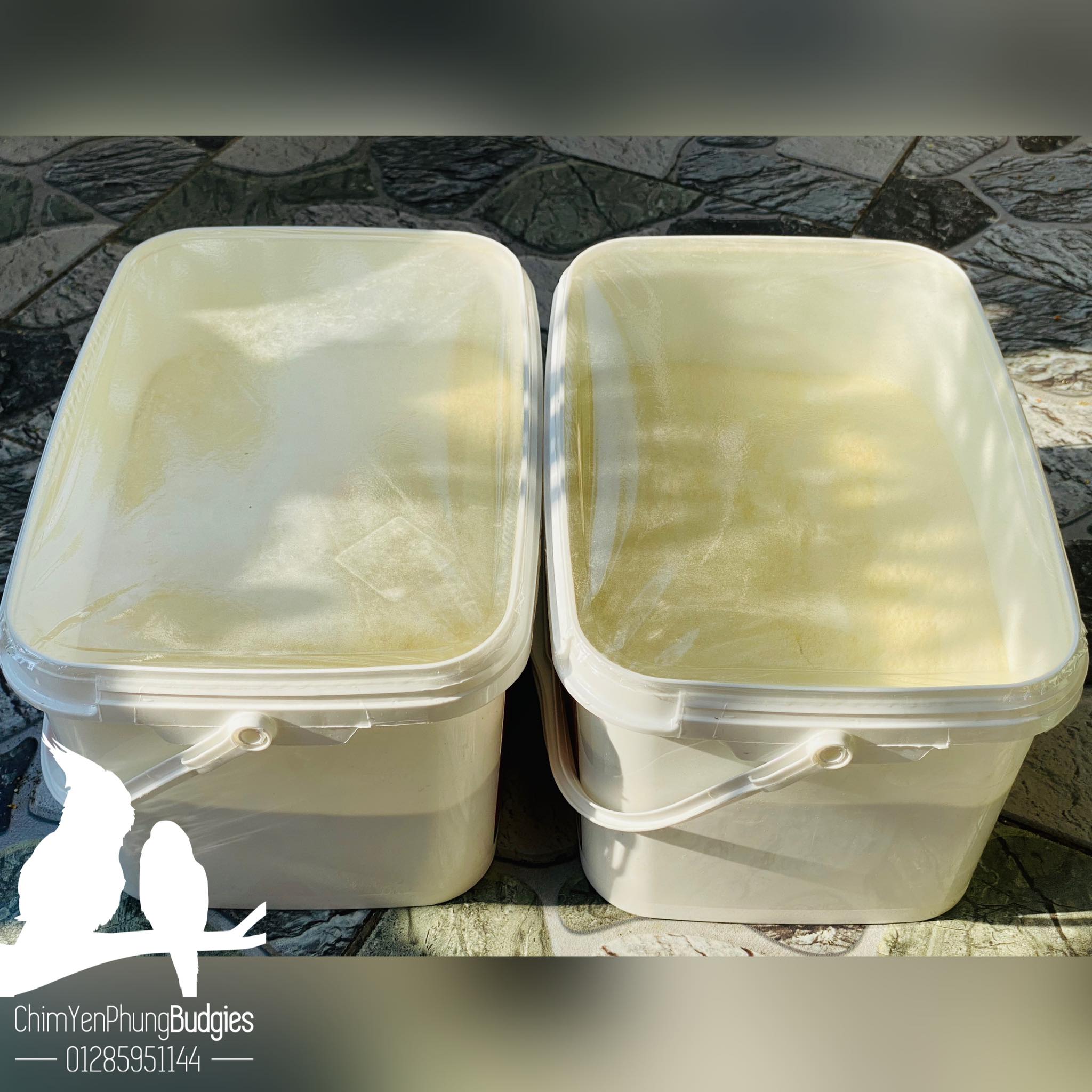 200Gr Bột NutriBird A21 giàu dinh dưỡng cho vẹt non - XUẤT XỨ: BỈ_date mới.