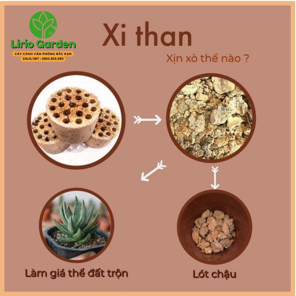 than tổ ong , xỉ than tổ ong