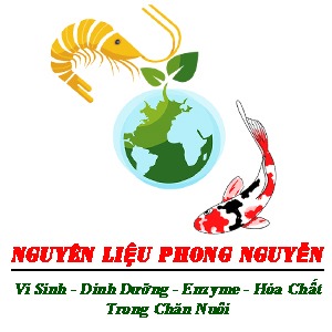 NGUYEN LIEU THUY SAN PHONG NGUYEN