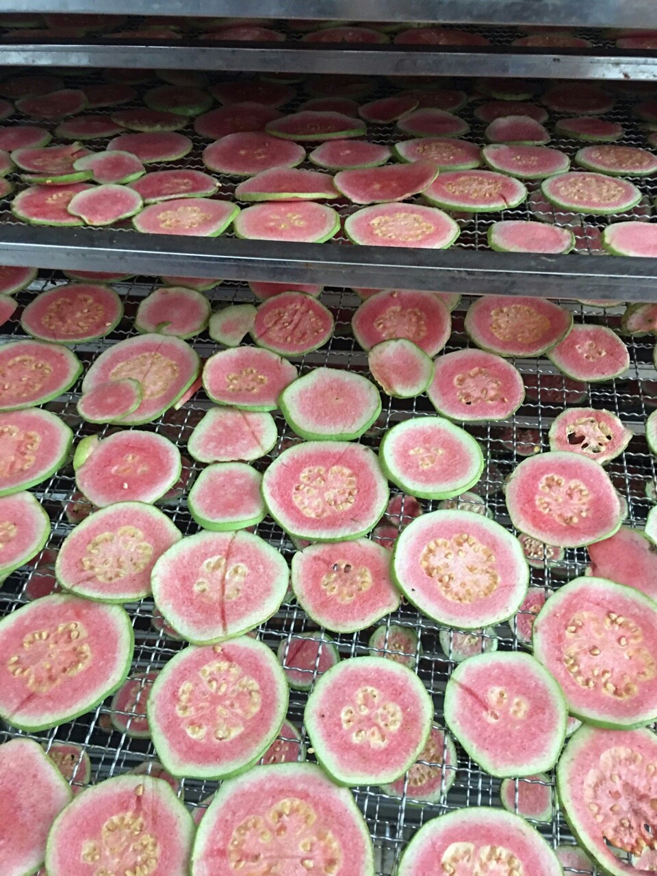 Ổi sấy lạnh gói - detox trái cây gói 200g