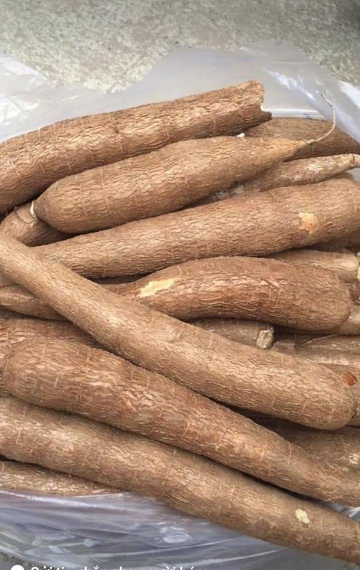 KHOAI MÌ ( Sắn) DẺO RUỘT VÀNG ,1kg giao nhanh an toàn tp hcm
