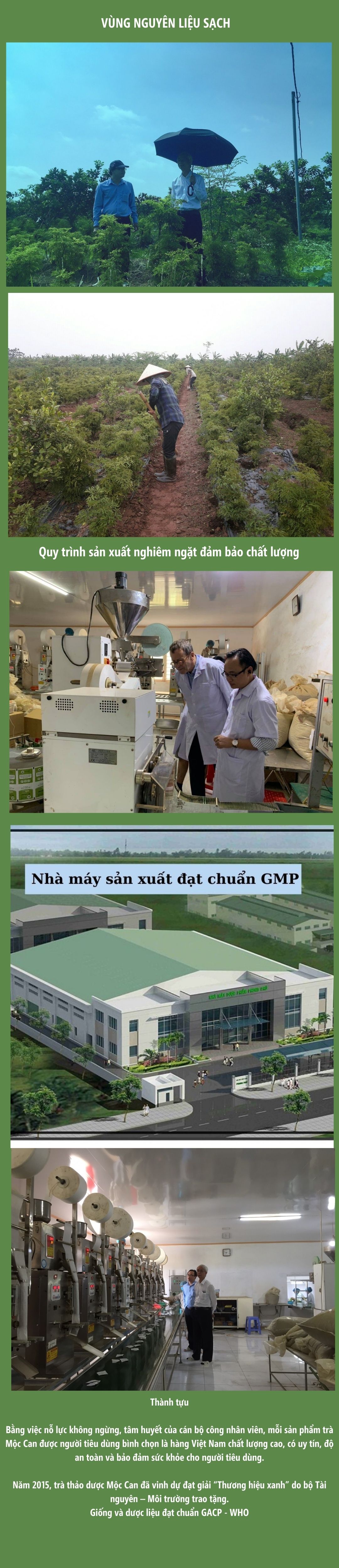 Dầu xoa bóp xương khớp giảm đau tức thì dung tích 90ml,Tinh dầu ngãi cứu Pain Oil Mộc Can