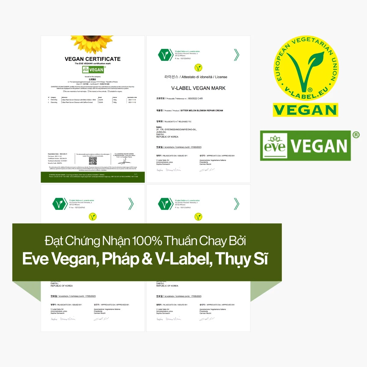 Bộ 4 sản phẩm dưỡng da Gillaa / Bộ dưỡng trắng  Gilaa Saffron Tone Up Repair / Bộ xoá mụn Gilaa Blemish Repair