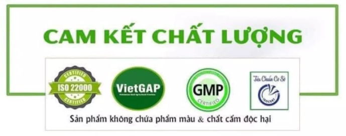 Trà Sữa Matcha Vinanutrifood YT17- Set Trà Sữa Matcha Gói Pha Sẵn Tiện Lợi Thơm Ngon Đậm Vị