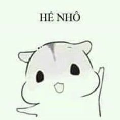 Thú Cưng Siêu Pet