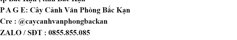 than tổ ong , xỉ than tổ ong