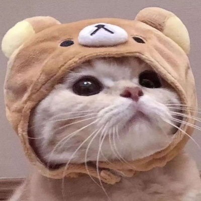 inferior concomitant22in8