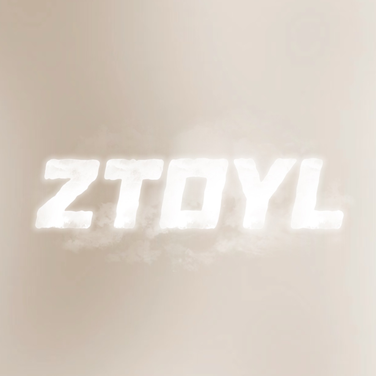 ZTOYL Fashion Store