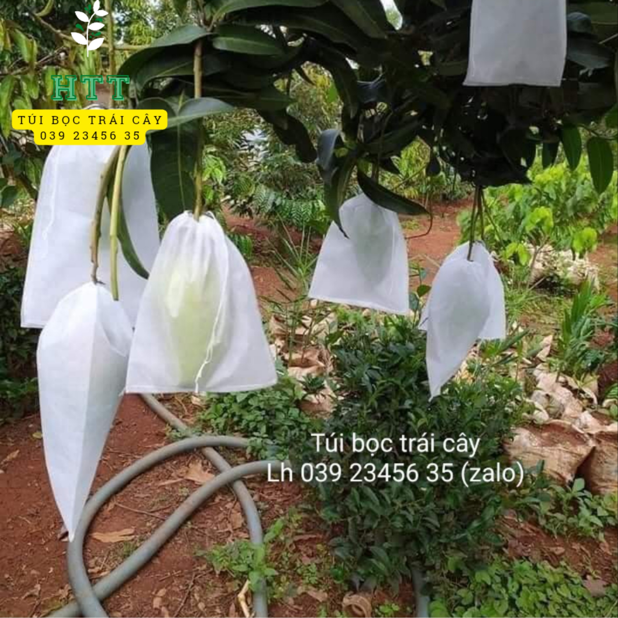 Vật Tư Nông Nghiệp I