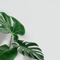 Cửa hàng Tiện ích Xanh's