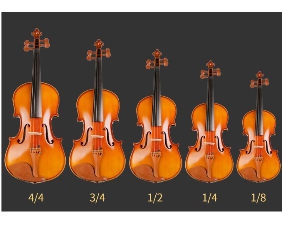 Bộ Đàn Violin ShangHai11605 Size 4/4 - FULL Phụ Kiện