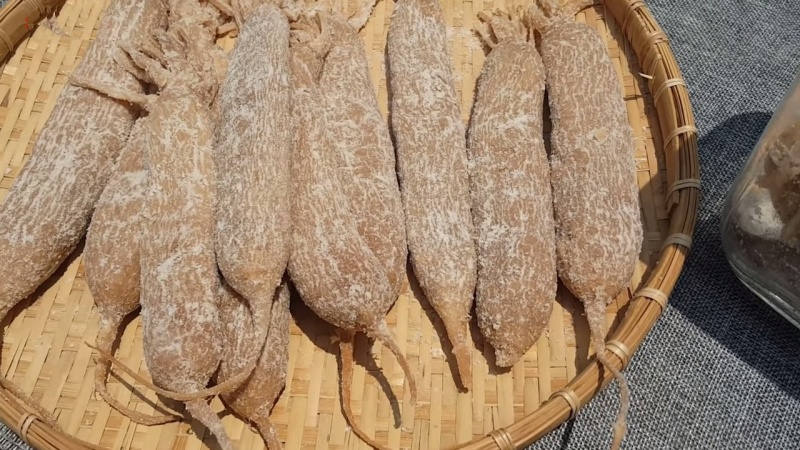 Củ Cải muối còn nguyên củ - xá bấu thơm ngon đặc biệt