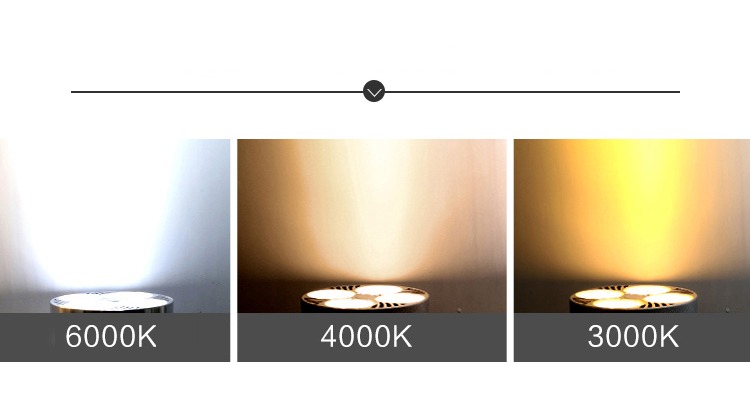 Đèn Rọi Par30 25w Thương hiệu nổi tiếng Esnco Siêu sáng Siêu bền chuyên dùng cho phòng trưng bày Cửa hàng Show room Thiết kế nội thất