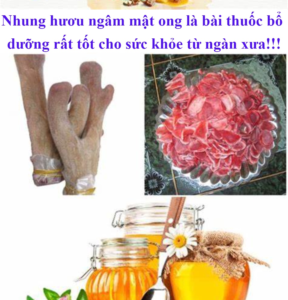 Lợi ích của Nhung hươu ngâm mật ong