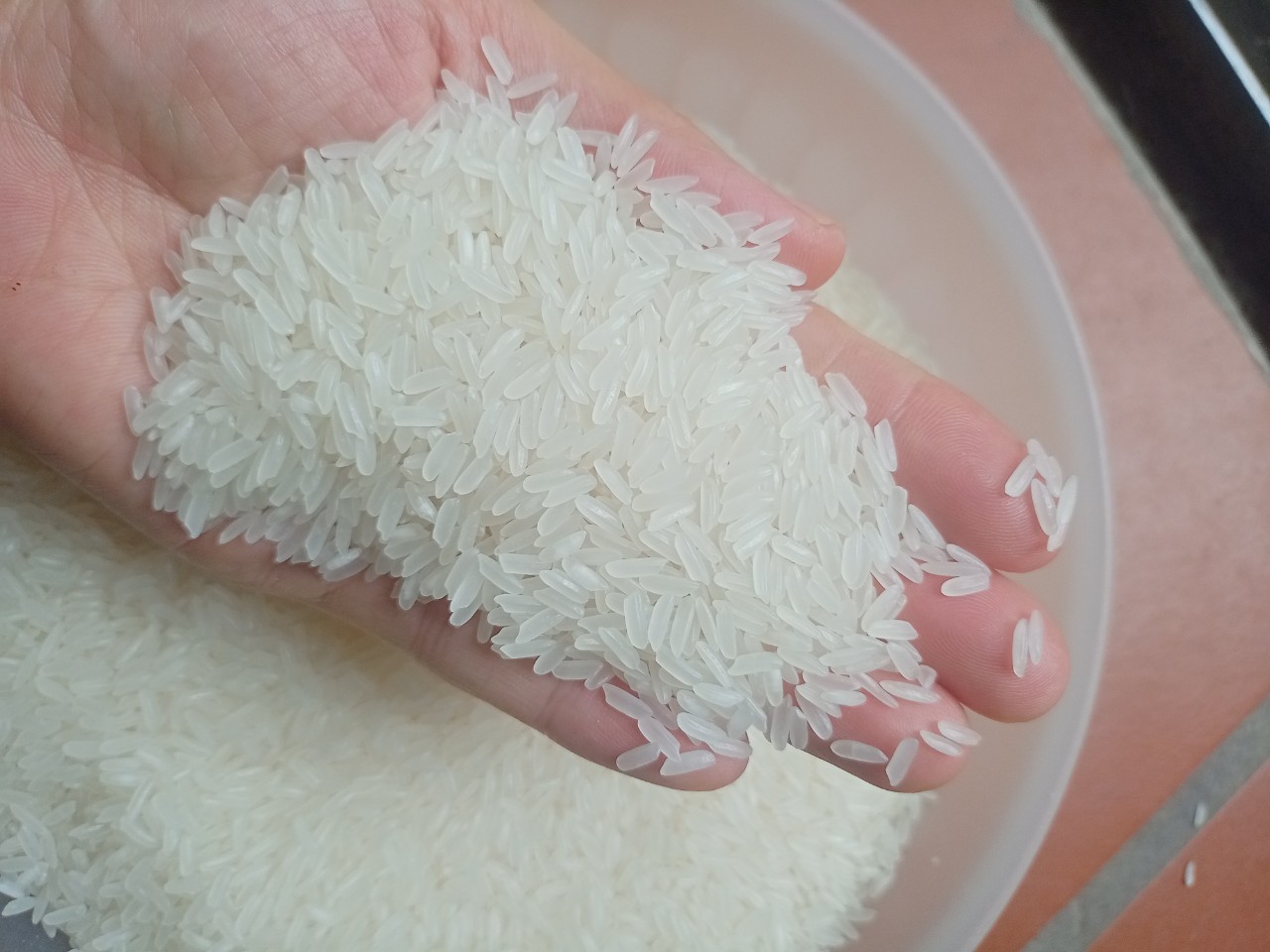 Gạo Tám Thái con chim Én hồng thơm, dẻo ,ngon giá rẻ tại minimartsongchi