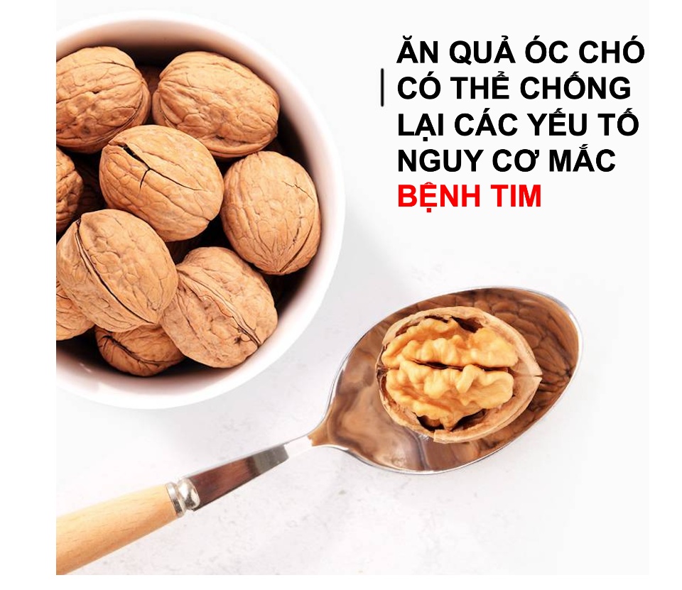 Hạt Óc Chó Tách Vỏ - Túi zip 500gr - ?Quả Óc Chó Úc Chandler 100% Nhập khẩu từ ?Úc - Đồ ăn vặt mẹ bầu dành cho giảm cân - Cực kì tốt cho tim mạch - Andys Gourmet - Đồ ăn vặt