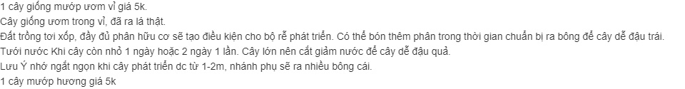 Combo 5 Cây giống Mướp hương (được kiểm tra hàng )