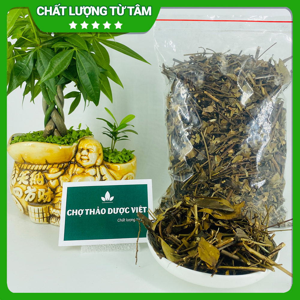 Trà Vằng Sẻ Khô Thơm Sạch Đã Sao Vàng Hạ Thổ 100g Giúp Lợi Sữa Cho Phụ Nữ Sau Sinh