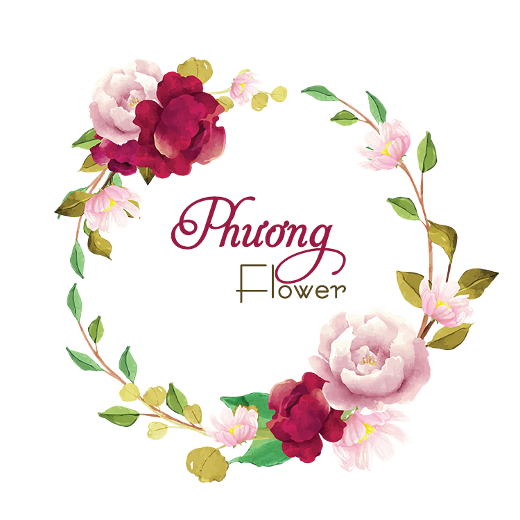Phuong Flower HN