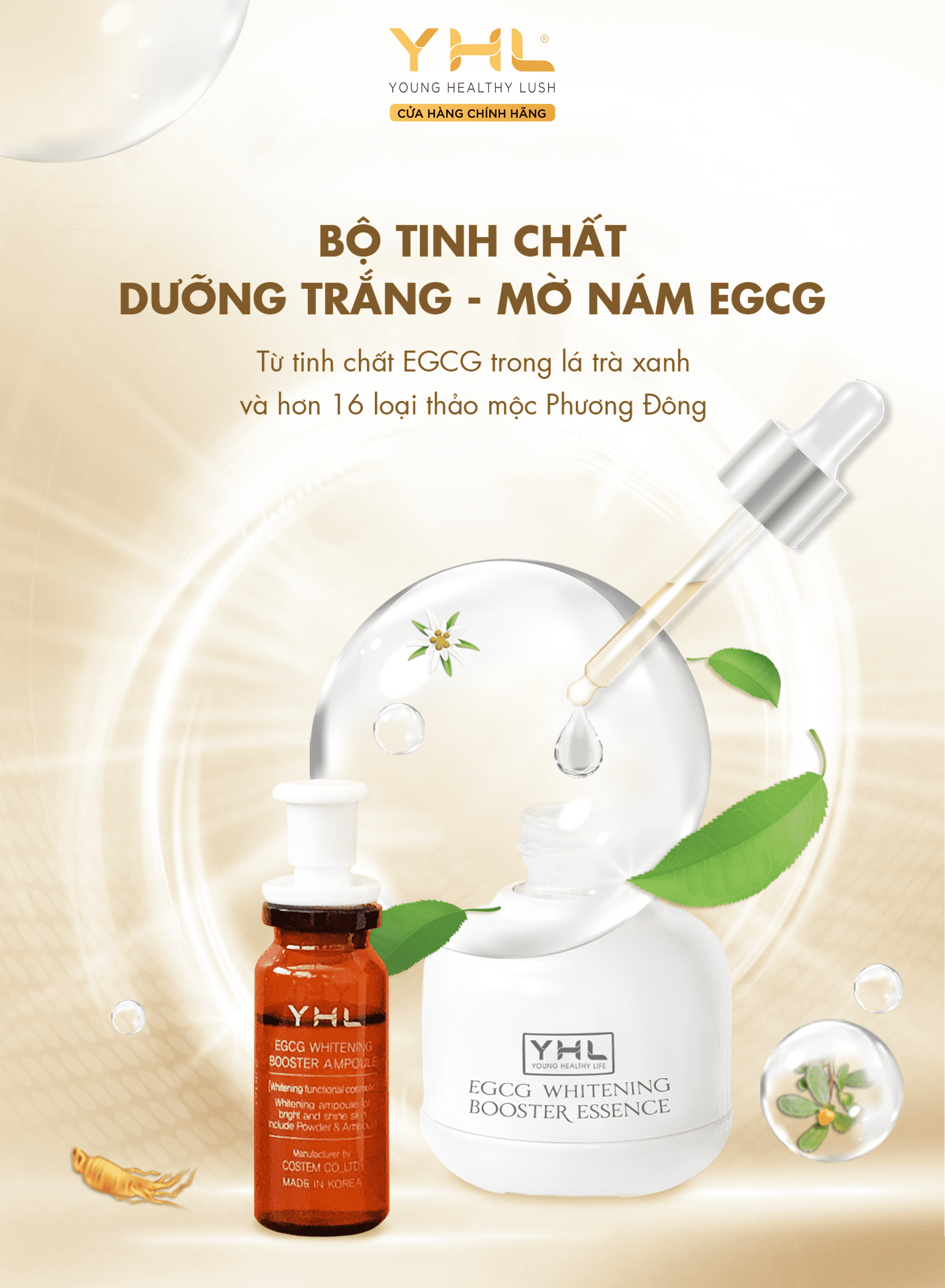 Bộ tinh chất dưỡng da chuyên sâu YHL cho các nàng ,dưỡng trắng, tinh chất EGCGYHL EGCG Whitening Booster Essence 30ml và YHL EGCG Whitening Booster Ampoule 10ml x 4 lọ Hàn Quốc