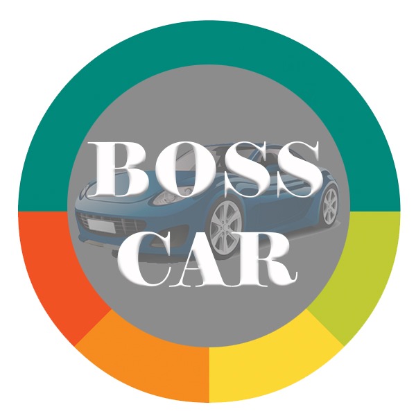 Boss Car Store.Selection