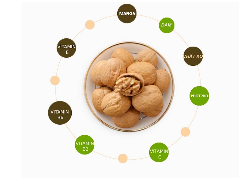 Hạt Óc Chó Tách Vỏ - Túi zip 500gr - ?Quả Óc Chó Úc Chandler 100% Nhập khẩu từ ?Úc - Đồ ăn vặt mẹ bầu dành cho giảm cân - Cực kì tốt cho tim mạch - Andys Gourmet - Đồ ăn vặt