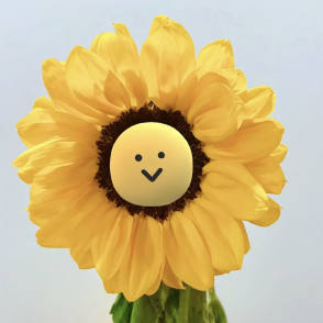 Audio Cửa Hàng Kỹ Thuật Số