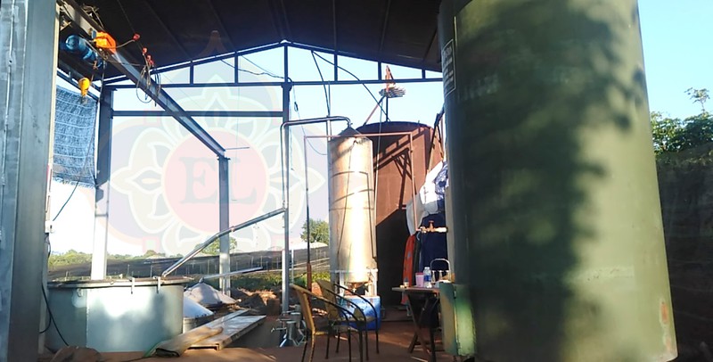 Tinh dầu màng tang Ecolife