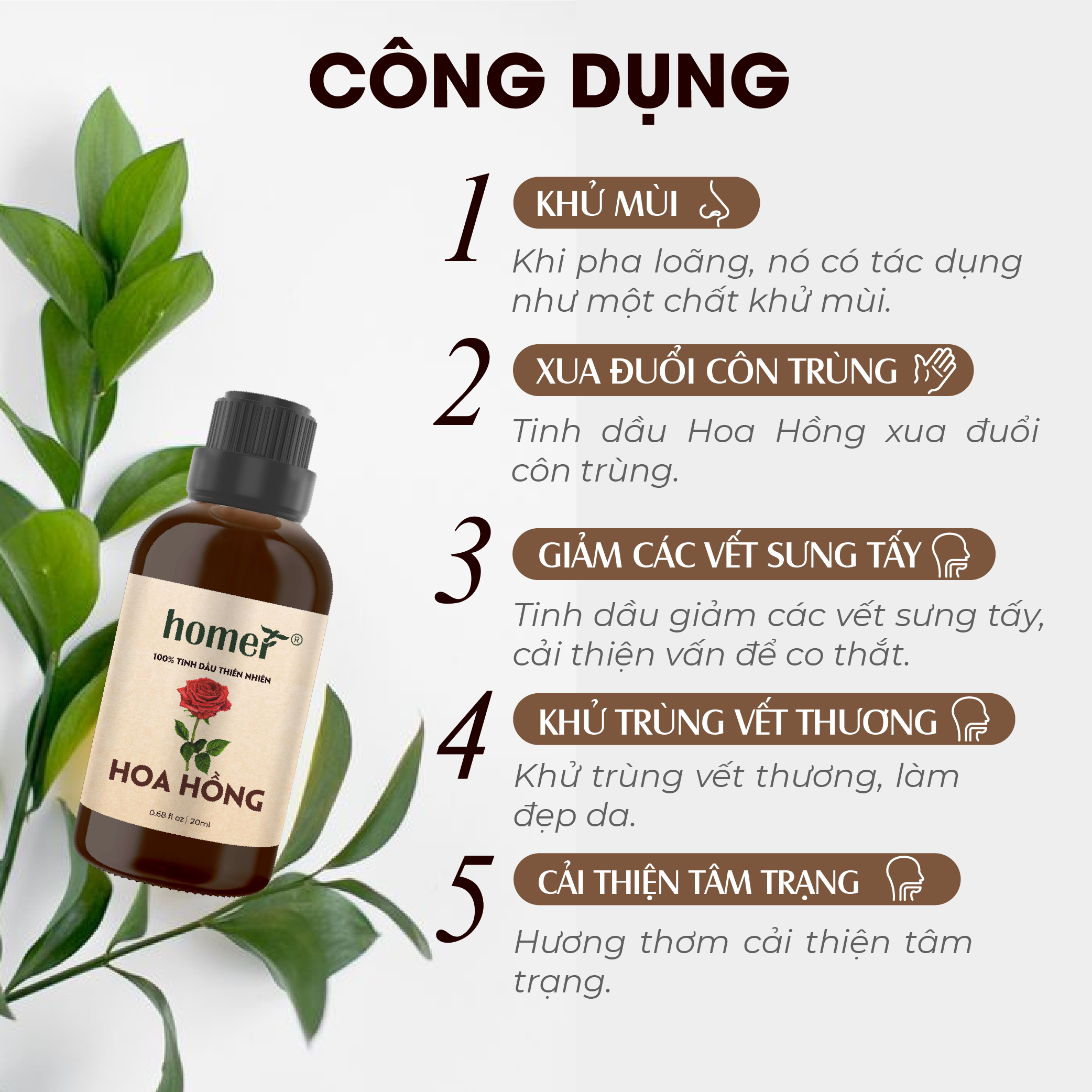 Tinh dầu thiên nhiên Hoa Hồng Bungari Homer - Dung tích 20ml / 100ml - Đạt chuẩn kiểm định cao cấp - An toàn cho sức khỏe - Đa công dụng