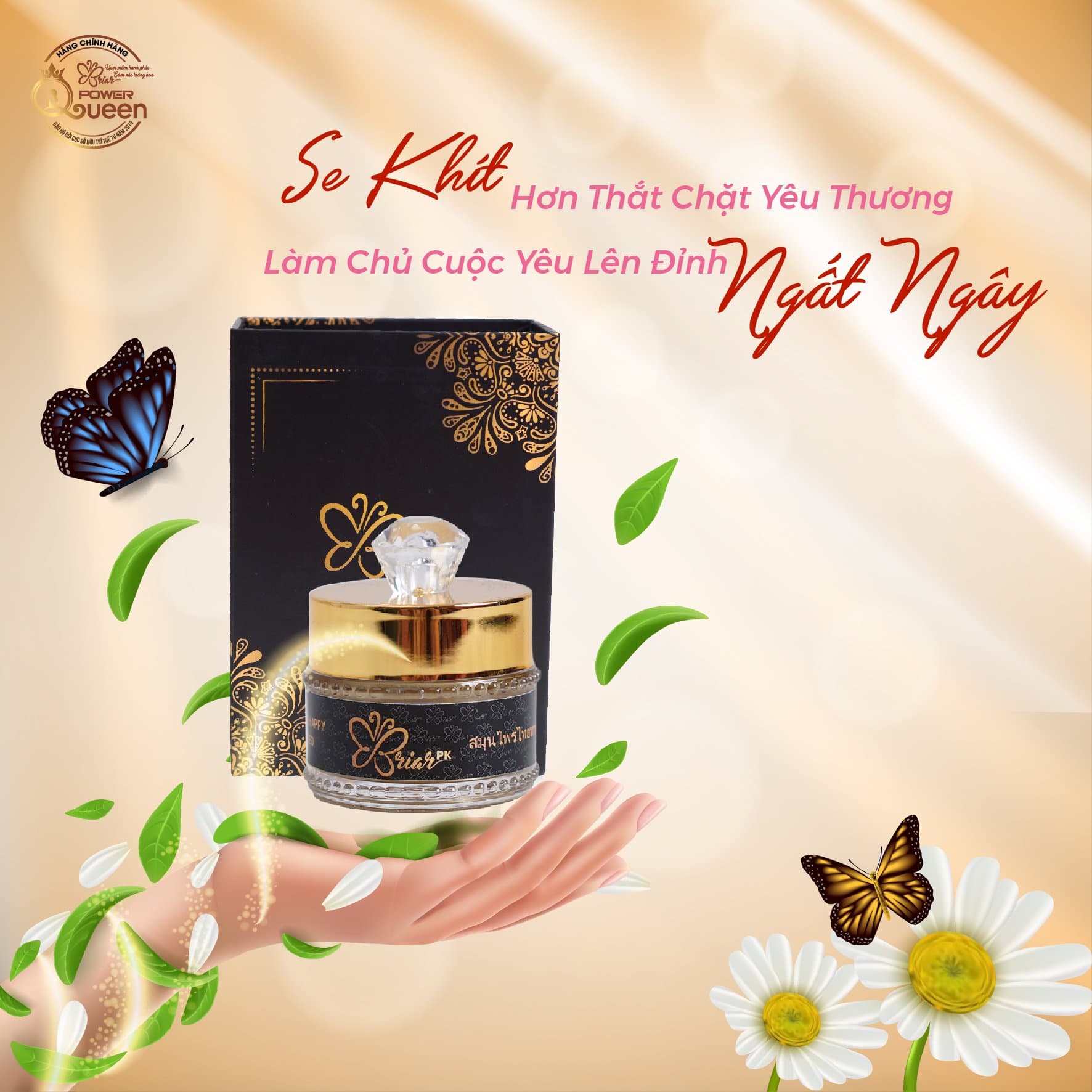 Combo Viên đặt thảo mộc Briar se khít cô bé dễ dàng sử dụng tặng dung dịch vệ sinh Lactacyd Ngày dài tươi mát 150ml